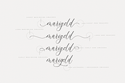Monterey Script Font, a Script Font by The Styled Script (Thumbnail 5 of 8)