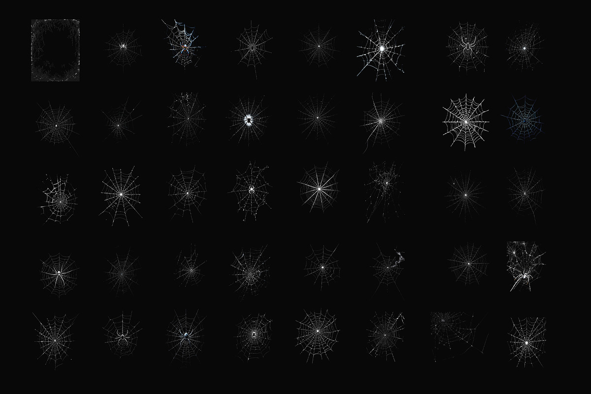120 Spider Web PNG Digital Download, an Object Graphic by Gonez Studio (Photo 4 of 5)