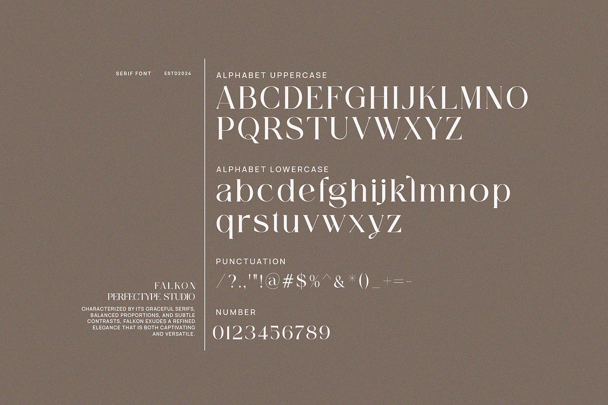Falkon Modern Serif Font, a Serif Font by Perfectype (Photo 8 of 8)
