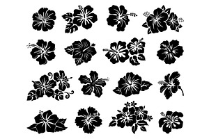 Hawaii tropical hibiscus flowers, an Object Illustration by Buch&Bee
