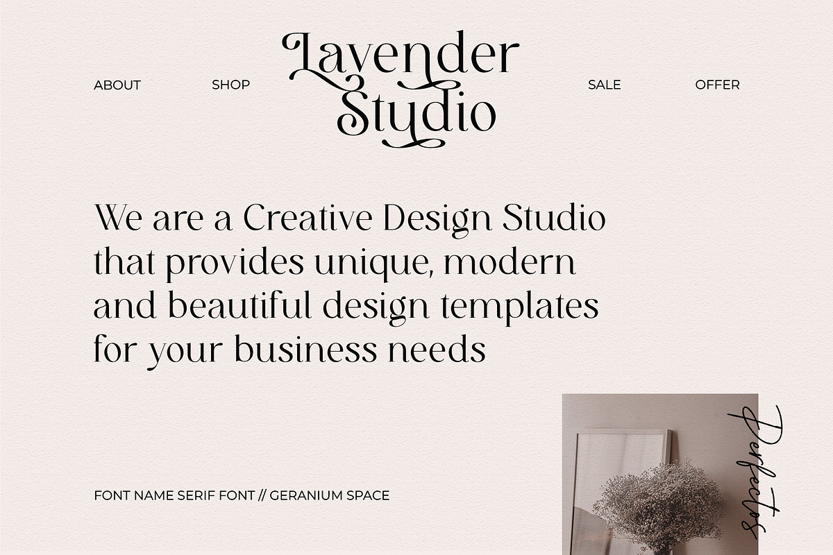 Cotta - Elegant Serif, a Serif Font by Megi Satyo Widodo (Photo 6 of 20)