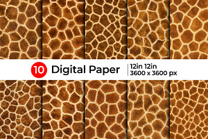 Realistic Giraffe Fur Texture