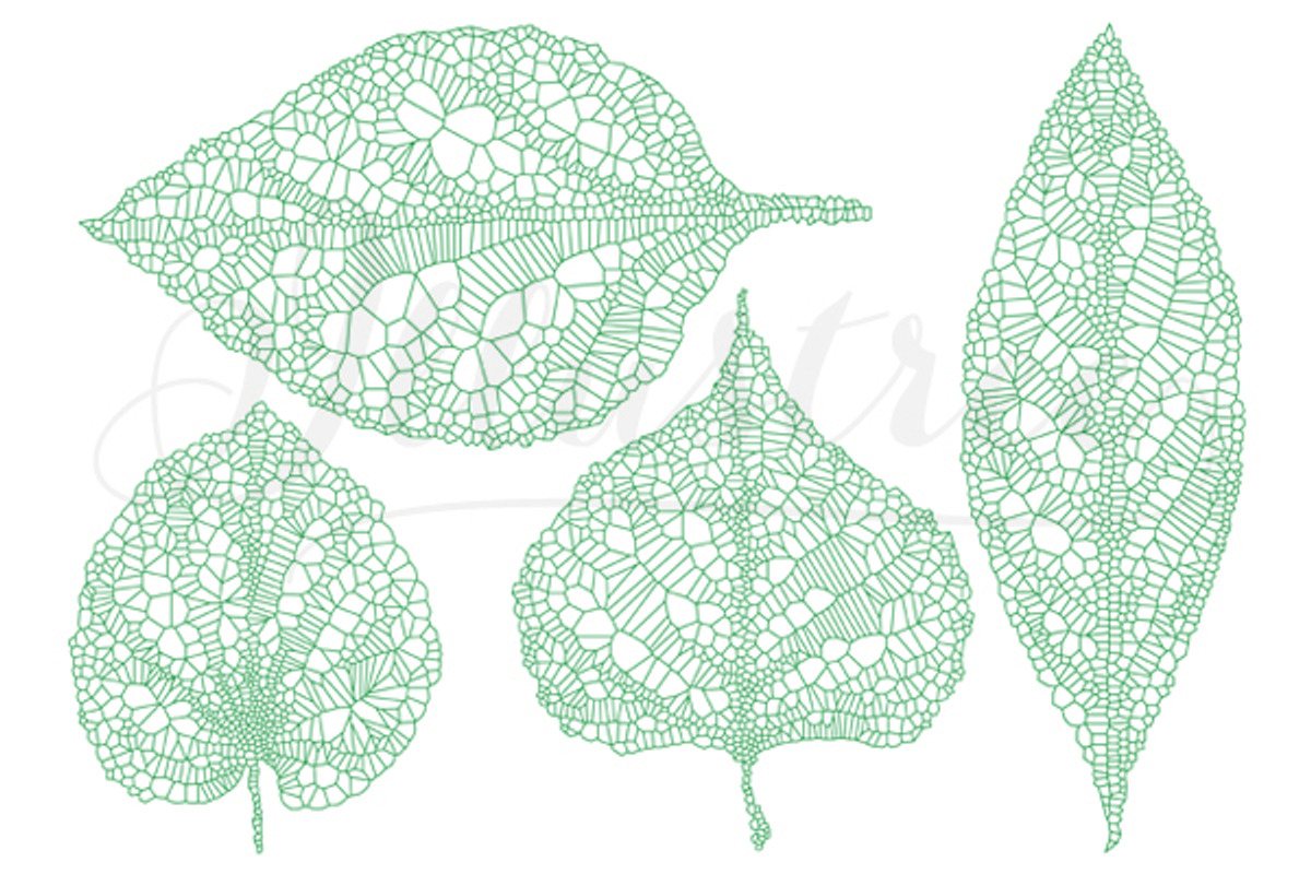 Green vein leaves, vector set, an Object Graphic by Illustree (Photo 1 of 2)