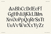 Blach Narative - Beauty Serif Font, a Serif Font by Font Liner (Thumbnail 6 of 10)