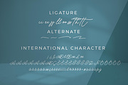 Serendipity Monoline Script font, a Script Font by mahstudios (Thumbnail 6 of 8)