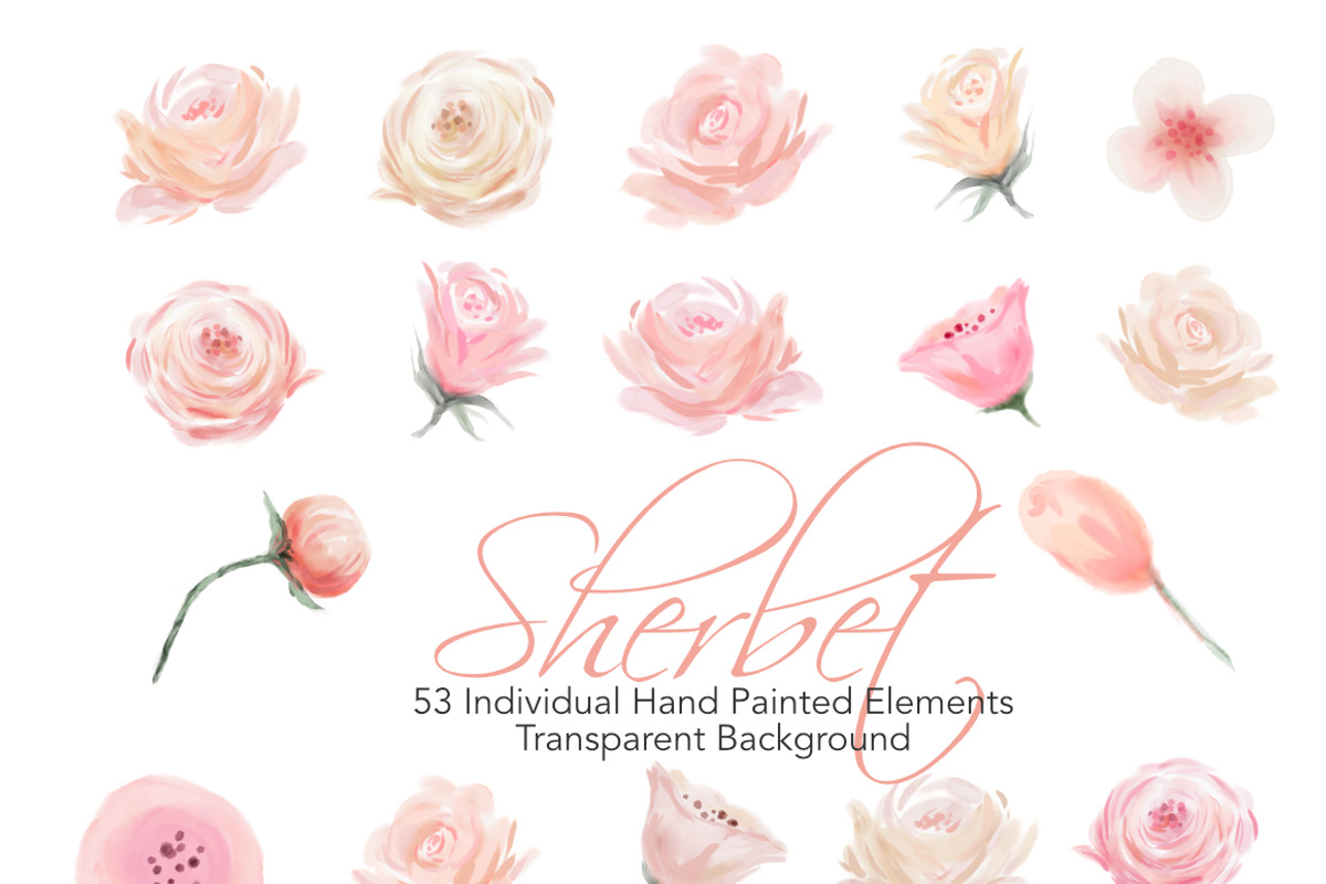 Watercolor Flowers - Sherbet, an Illustration by Feather Grace Designs (Photo 6 of 7)