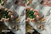 15 Natural LR Presets, Video Filters, a Preset Add-On by TheWayfarerShoppe (Thumbnail 6 of 9)
