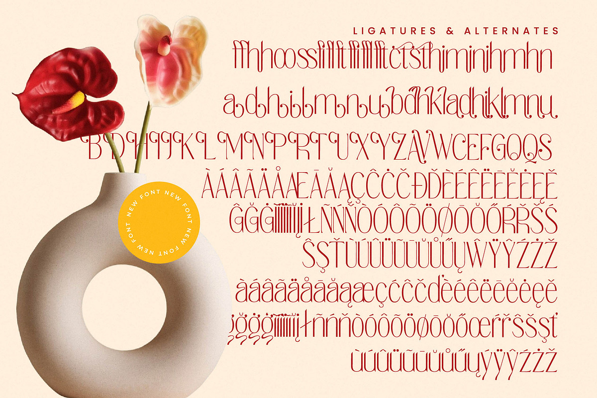 Salctego Modern Luxury Display, a Sans Serif Font by timelesstype.co (Photo 18 of 20)