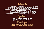 Stringlabs Creative Bold Script Font, a Script Font by StringLabs (Thumbnail 13 of 13)