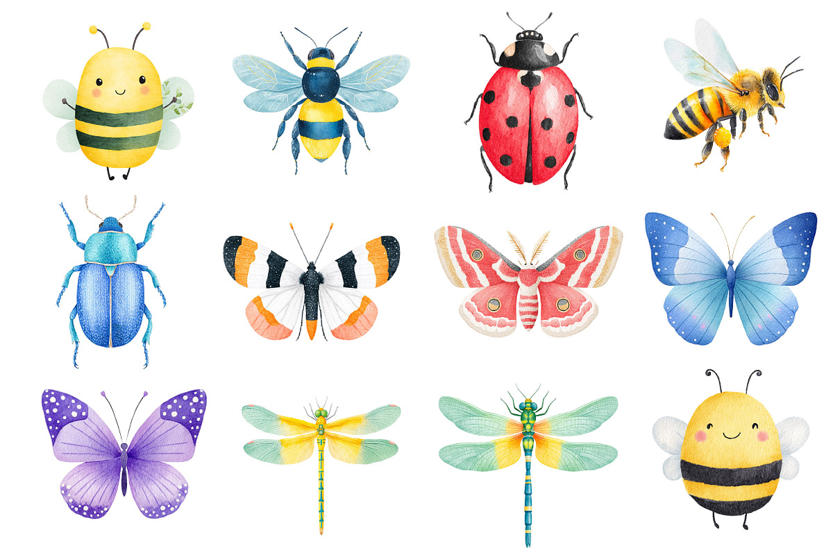 Insects Watercolor Clipart Png, an Illustration by Dream Creation (Photo 5 of 7)