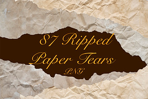 87 Ripped Textured Old Paper Tear