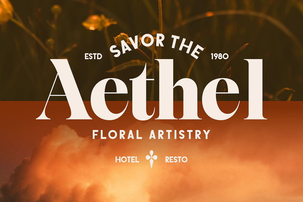 Herald Dongue - Stylish Serif, a Serif Font by Marvadesign (Photo 4 of 12)