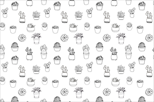 Succulents & Cactuses Illustrations