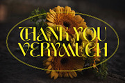 Brothers | DISPLAY TYPEFACE, a Sans Serif Font by Almeera Std (Thumbnail 12 of 12)
