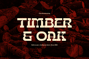 Bebop Rodeo | Western Slab Serif, a Slab Serif Font by gracetype_studio (Thumbnail 4 of 12)