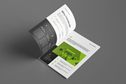 Company Profile Template, a Brochure Template by Seeing-art (Thumbnail 5 of 11)