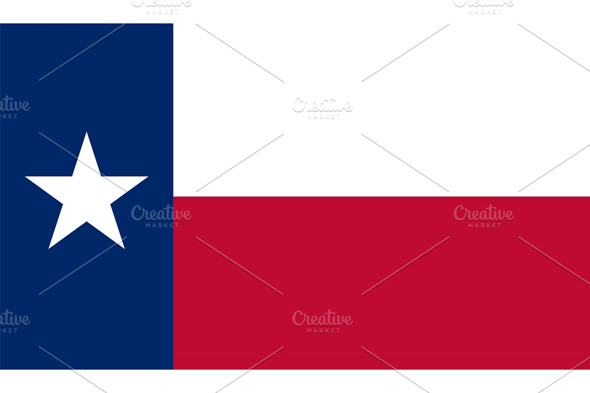 Texas US State Vector Illustration, an Illustration by megastocker