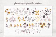 Rainbow boho flower collection, a Decorative Illustration by BAGIRA | Studio (Thumbnail 3 of 7)