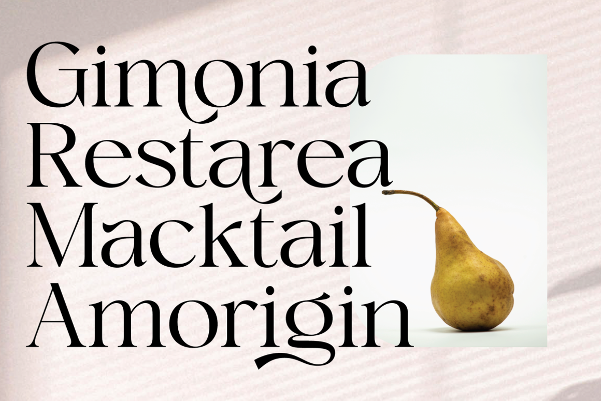 Megalky | Modern Elegant Serif Font, a Serif Font by Rissyletter Studio (Photo 5 of 12)