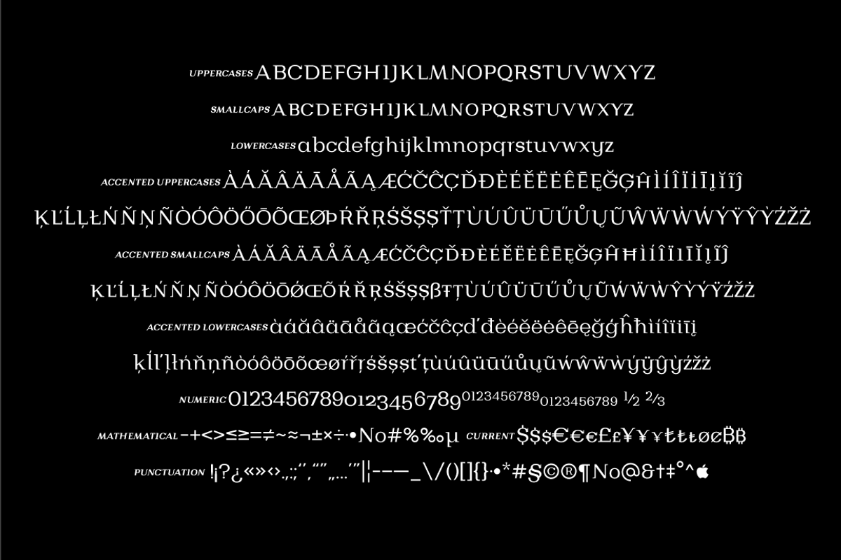 Bodrum Style, a Slab Serif Font by BULENT YUKSEL (Photo 10 of 12)