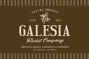 Twilight Archive Romantic Font Duo, a Serif Font by Letterhend Studio (Thumbnail 3 of 10)