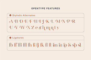 Destine Modern Display Serif