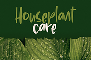 Redpaws Handwriting, a Script Font by 24Design Studios (Thumbnail 2 of 6)