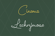 Joyeux Script, a Script Font by Elyas Beria Studio (Thumbnail 12 of 12)
