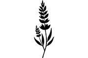 Decorative Tribal Feather Vector, an Object Graphic by Designer_Momina (Thumbnail 12 of 18)