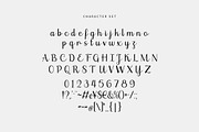 Laurania Script Font, a Script Font by Burhan Afif (Thumbnail 8 of 10)