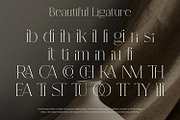 Fracture - Serif Font, a Serif Font by Alpaprana (Thumbnail 3 of 10)
