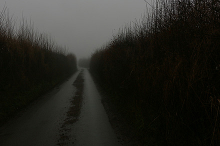 Dense Fog on Country Road