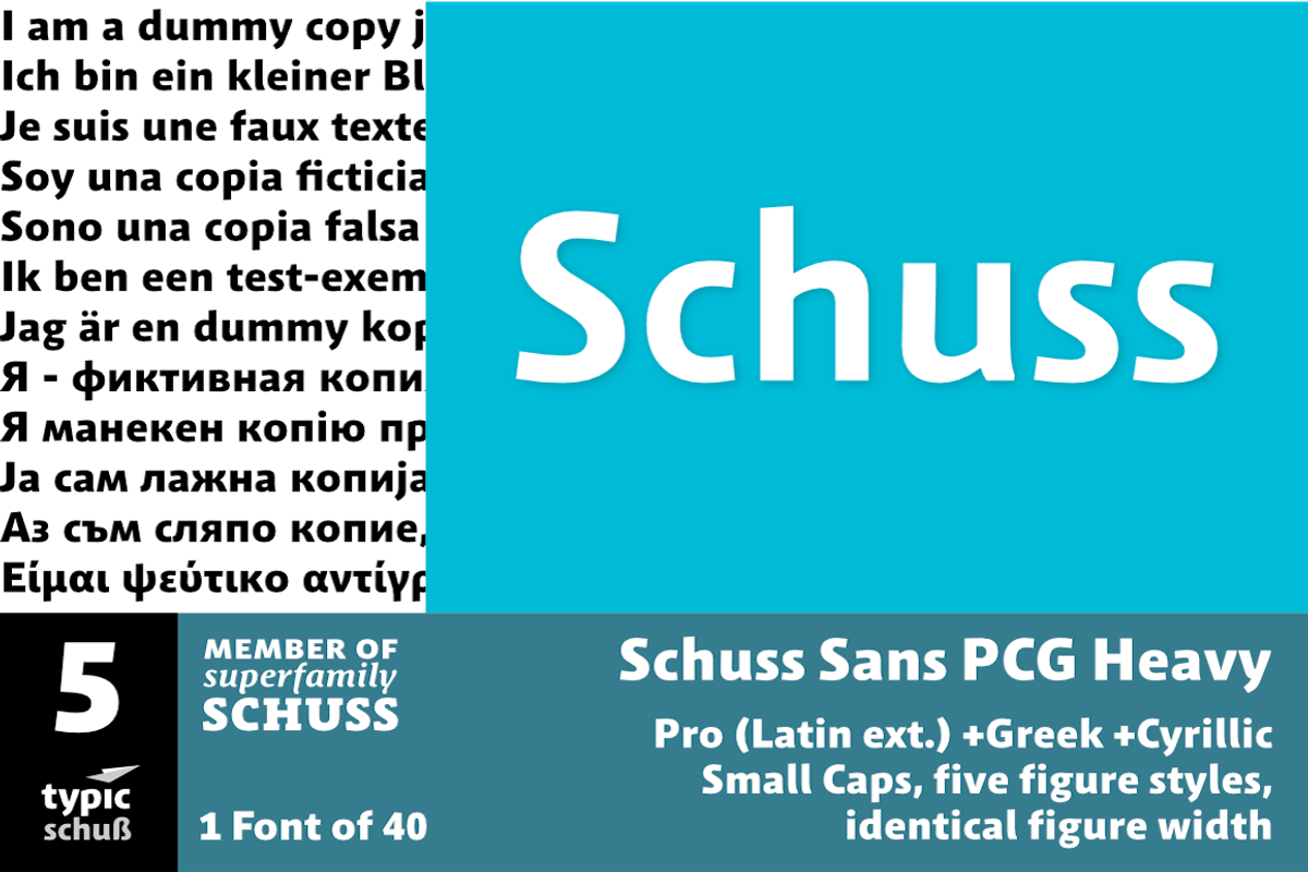 SchussSansPCGHeavy No.05 (1 Font)