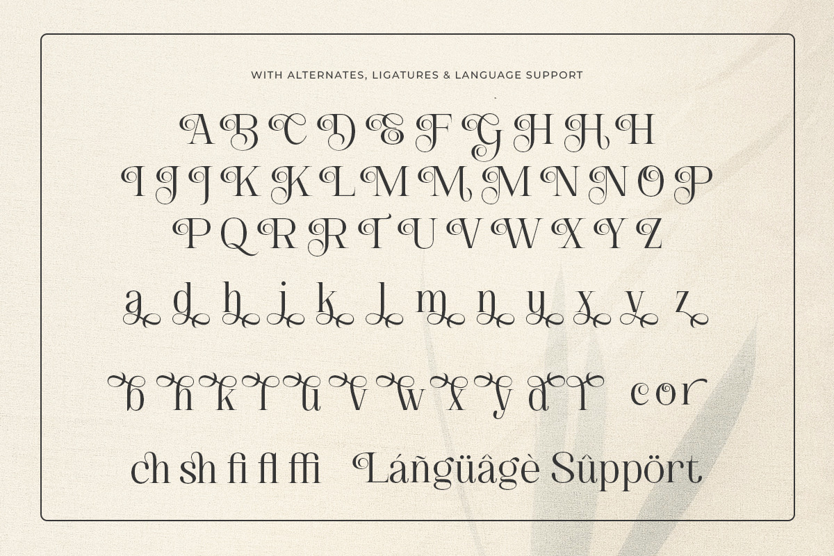 Blissful Sunshine - Romantic Swash, a Serif Font by Shakira Studio (Photo 9 of 10)