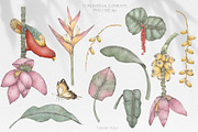 Exotic Edem. Patterns&Motifs Design, a Pattern Graphic by Alisa Fimen Design (Thumbnail 12 of 12)