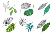 Detailed tropical leaves & Patterns, a Decorative Illustration by NKTKNS (Thumbnail 3 of 5)