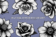 38 Classic Flower Illustration, a Decorative Illustration by Alternate Studio (Thumbnail 1 of 6)