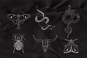 Mystic. Vector Set, a Texture Illustration by PatrushevaYana (Thumbnail 8 of 12)