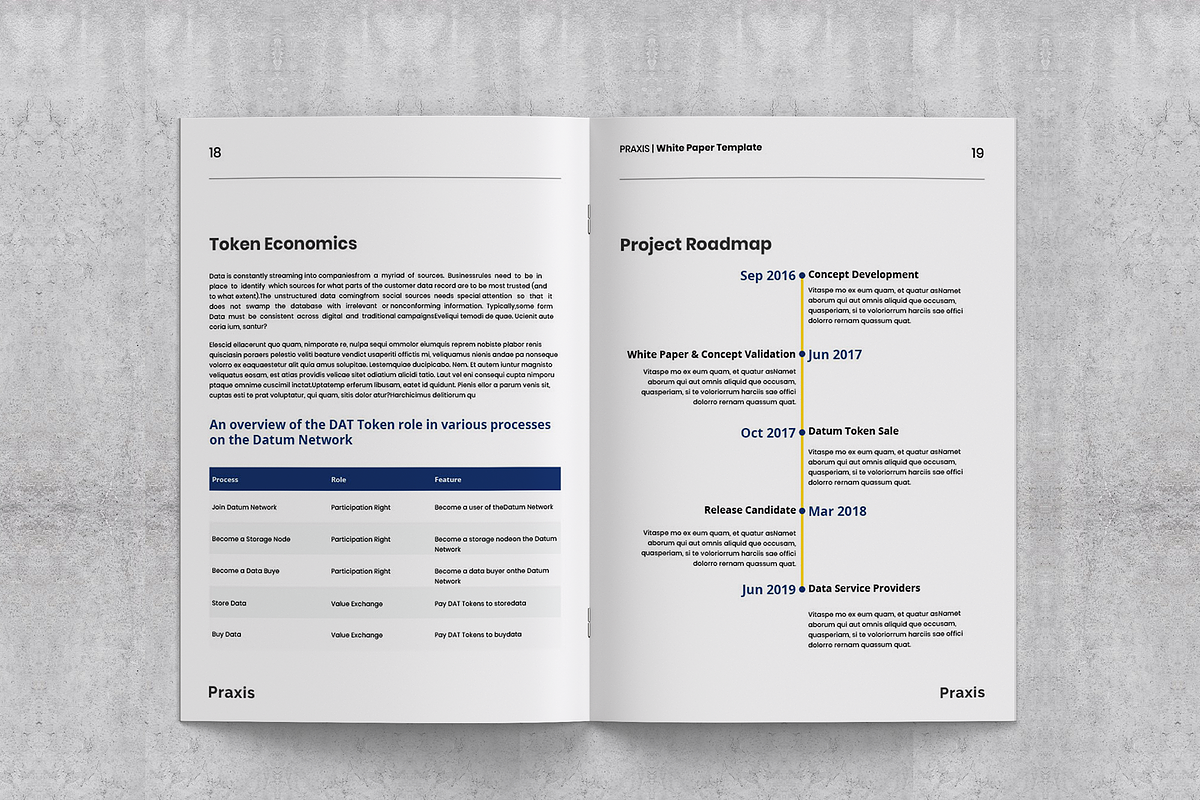 White Paper Template, a Brochure Template by azadcsstune (Photo 6 of 15)