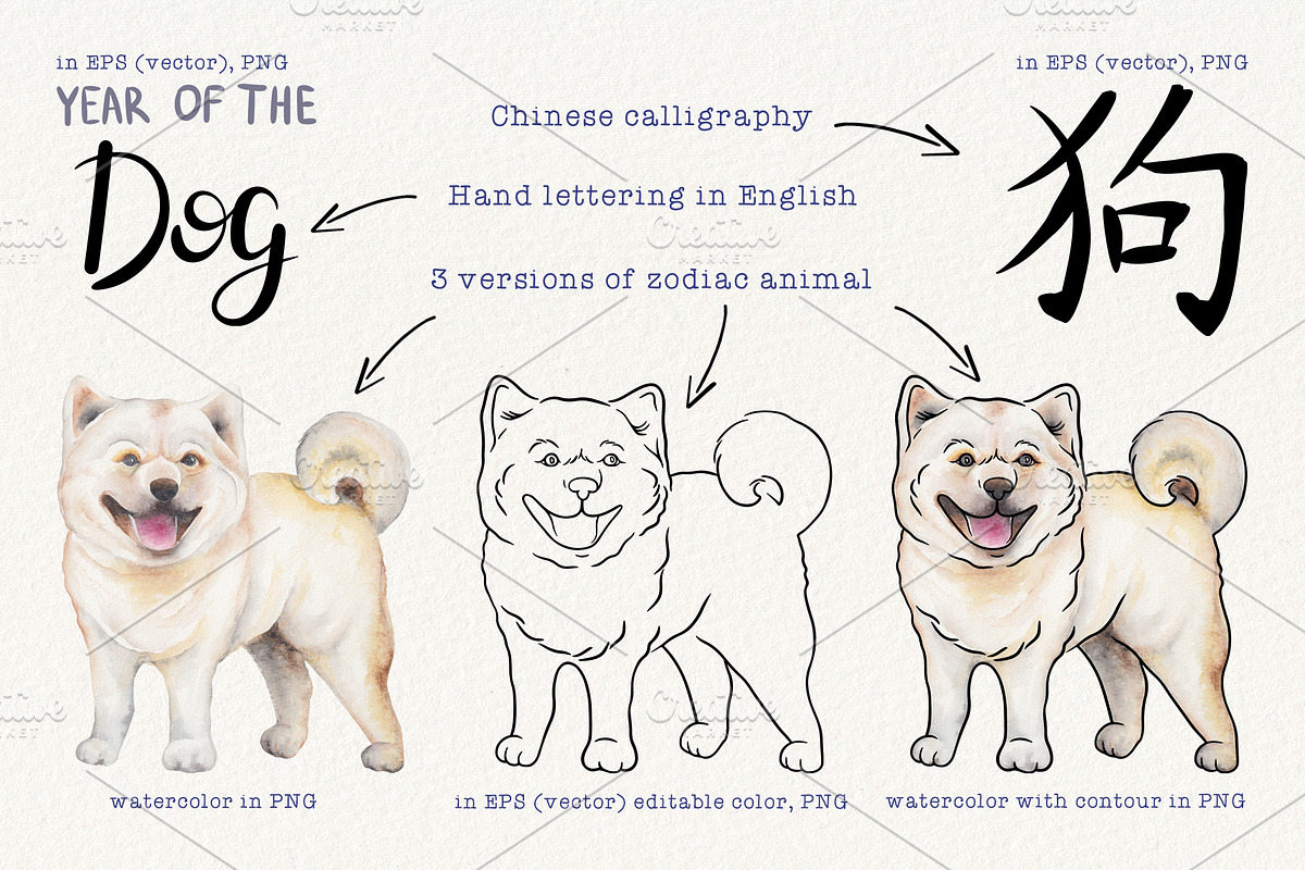 12 Chinese Zodiac Animals set, an Animal Illustration by Alena Solonshchikova (Photo 2 of 13)