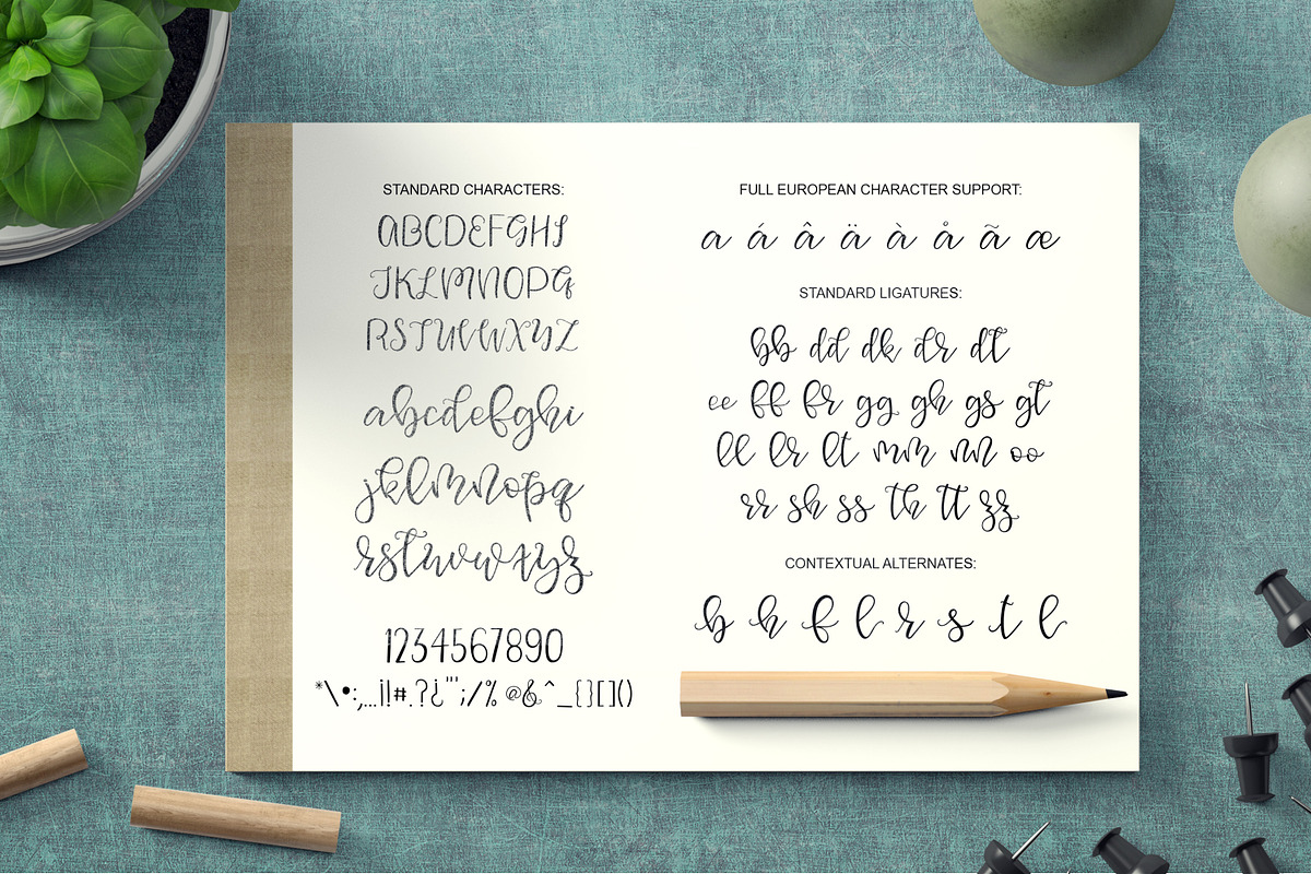 Squirrel Script preview 6