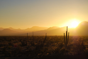 Sunrise Over the Desert
