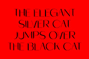 CS Wokley – Modern Sans Serif, a Sans Serif Font by Craft Supply Co. (Thumbnail 7 of 8)