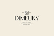 NT Fabulous, a Serif Font by nevsky.type (Thumbnail 8 of 10)