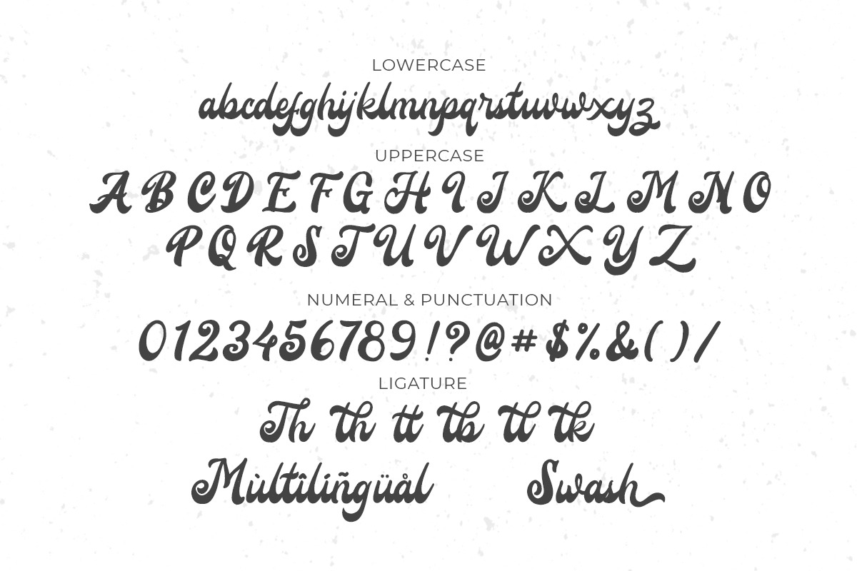 Roadsky Vintage Script, a Script Font by Fikry Alfatih (Photo 4 of 9)