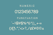BAVEREEN SERIF, a Script Font by zerologicstudio (Thumbnail 5 of 9)