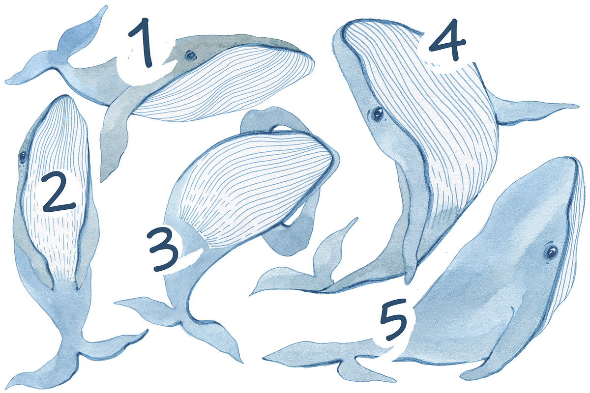 Whale watercolor. Print., an Animal Illustration by Novikova Lida (Photo 2 of 4)