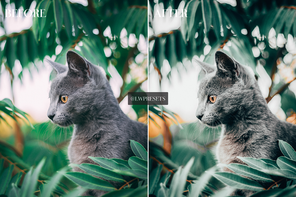 10 Dark Moody  Lightroom Presets, a Brush Add-On by LWPRESETS (Photo 2 of 7)