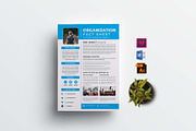 Nonprofit Organization Fact Sheet, a Flyer Template by design_hut (Thumbnail 1 of 4)