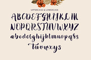 Rustic Wedding font, a Script Font by WAP (Thumbnail 6 of 9)